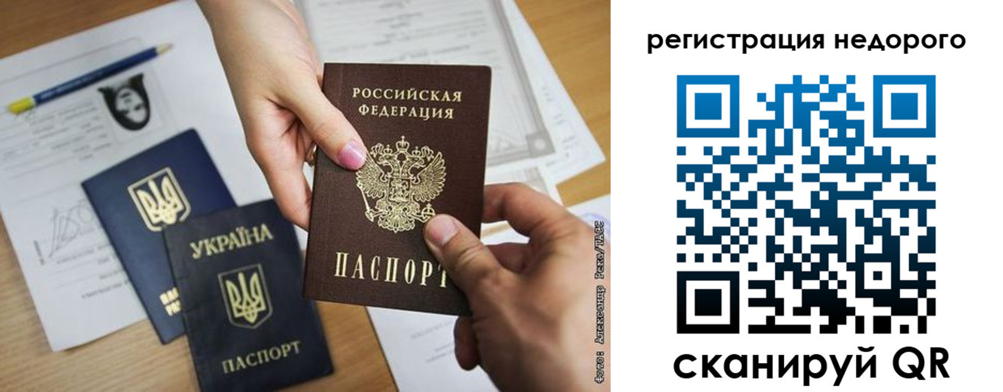 прописка в Пионерском